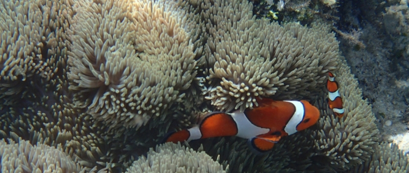 �o�X�g�A�b�v�A�C�e���b�o�X�g�P�A�I�yDelafierte�b�f���t�F���e�z
���T�C�g